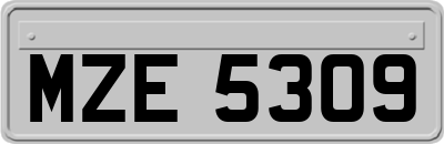MZE5309