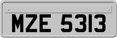 MZE5313