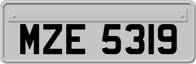 MZE5319