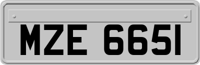 MZE6651