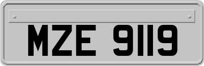 MZE9119
