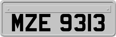 MZE9313