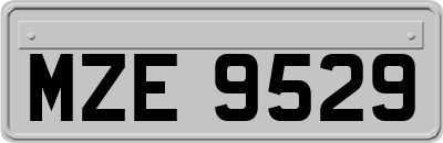MZE9529
