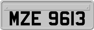 MZE9613