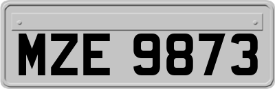 MZE9873