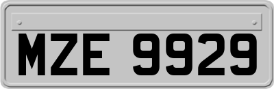 MZE9929