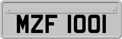 MZF1001