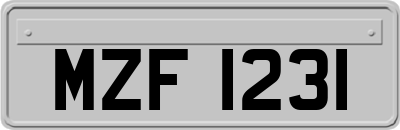 MZF1231