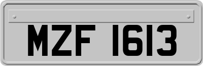 MZF1613