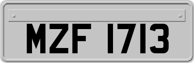 MZF1713