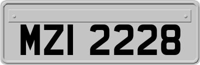 MZI2228