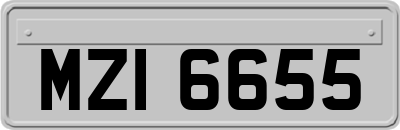 MZI6655