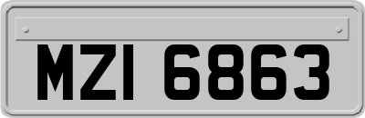 MZI6863