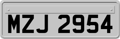 MZJ2954