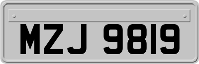 MZJ9819