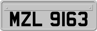 MZL9163
