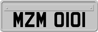 MZM0101