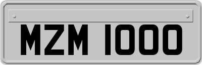MZM1000