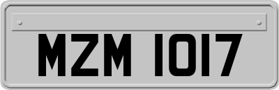 MZM1017
