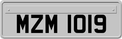 MZM1019