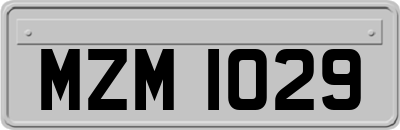 MZM1029