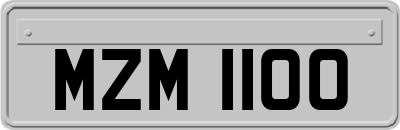 MZM1100