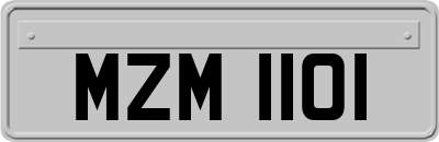 MZM1101