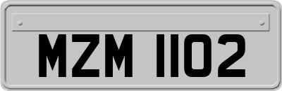 MZM1102