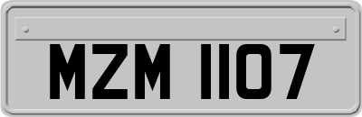 MZM1107