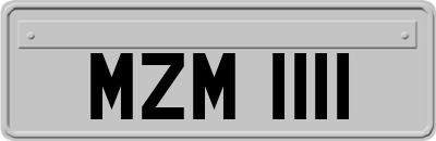 MZM1111
