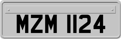 MZM1124