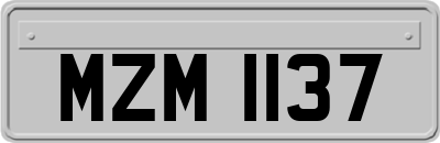 MZM1137