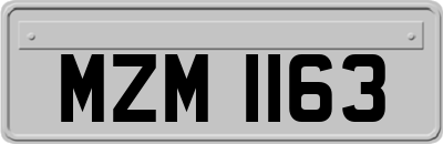 MZM1163