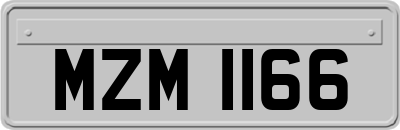 MZM1166