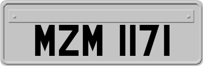 MZM1171