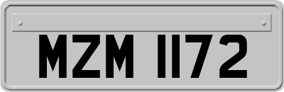 MZM1172