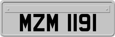 MZM1191