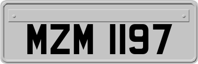MZM1197