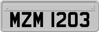 MZM1203