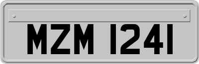 MZM1241