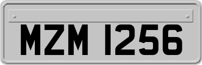 MZM1256