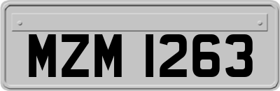 MZM1263