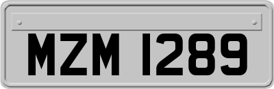 MZM1289
