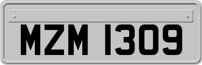 MZM1309