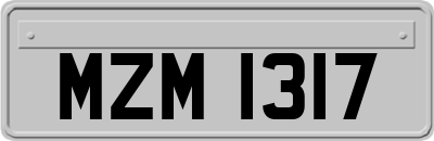MZM1317