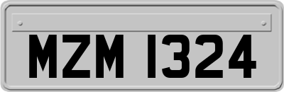 MZM1324