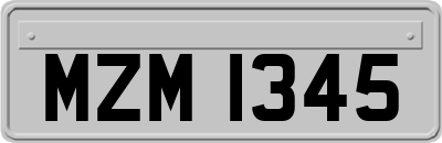 MZM1345