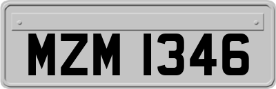 MZM1346
