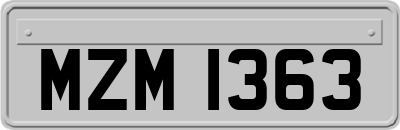 MZM1363