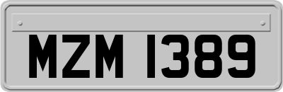 MZM1389
